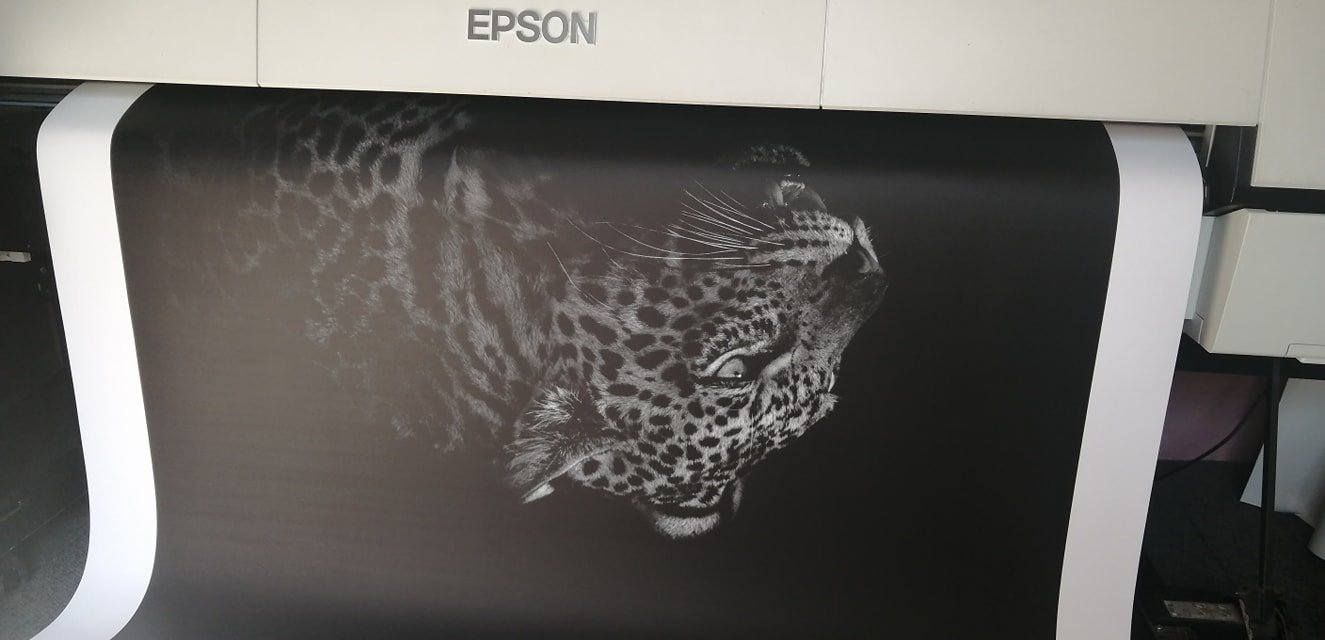 118844524_201573988064235_1835428430739426484_n